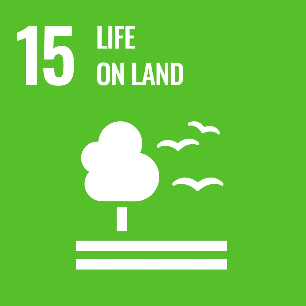 UNSDG Goal 9